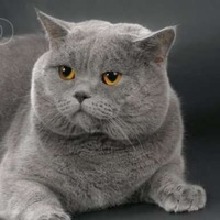 Юля Востокова